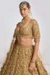 Lehenga Gold attached