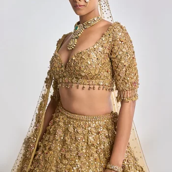Lehenga Gold attached